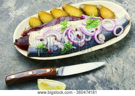 Salted Herring Fish