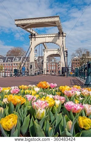 Spring at the Tiny bridge in Amsterdam the Netherlands with blossoming tulips