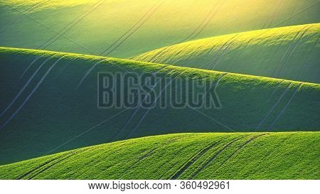 Beautiful Spring Landscape With Field Of Grass Hills At Sunset. Waves In Nature Moravian Tuscany - C