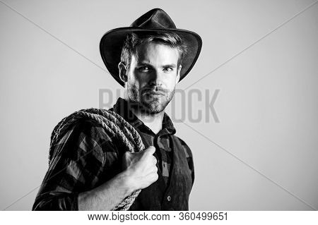 Lasso Is Used In Rodeos Part Competitive Events. Lasso Can Be Tied Or Wrapped. Western Life. Man Cow