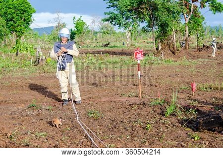 24 June 2016, Siem Reap, Cambodia: Minesweeping Team From Apopo, Consisting Of A Specially-trained M