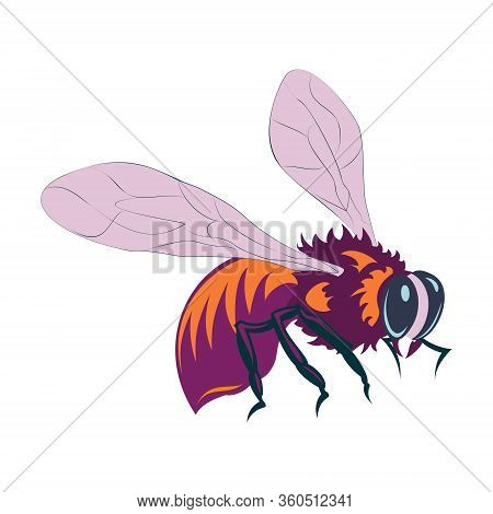 Vector Illustration Of Honey Bee On White Background