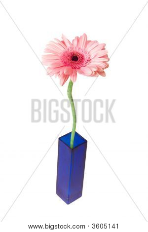 Vaaleanpunainen Gerbera maljakko