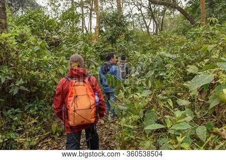 Tourists On A Safari Walk At Chitwan National Park On Nepal
