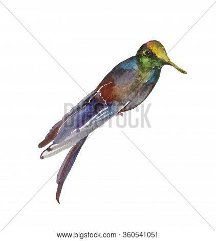 Abstract Watercolor Painting Of Pink, Blue, Green And Yellow Shiny Humming Bird Isolated On White Ba