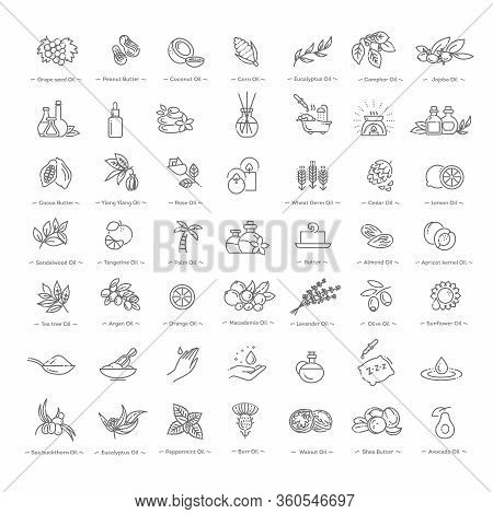 Vector Set Of Natural Ingredients And Oils For Cosmetics In Linear Style