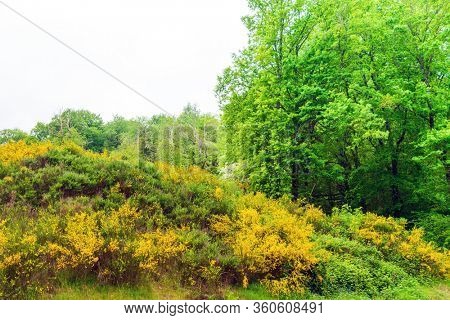 French landscape Haute Vienne Limousin,France
