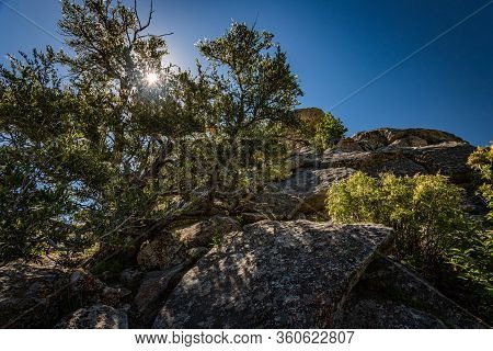 The City Of Rocks In Idaho Marked The Halfway Point Of The California Trail And Today Offers Rock Cl
