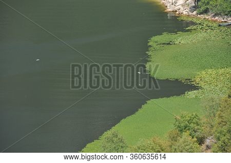 Rijeka Crnojevića, Part Of The Skadar Lake In Montenegro. Tourist Cruises By Boat On The Beautiful M