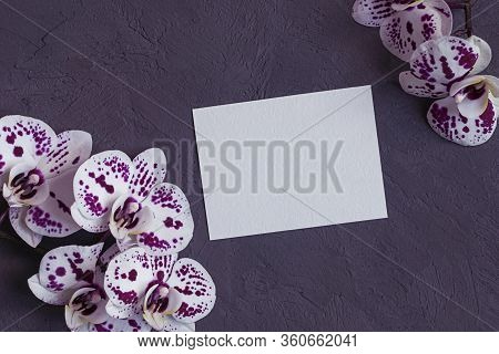 Pink And White Orchid Flowers With Blank Paper Card On Gark Gray Background