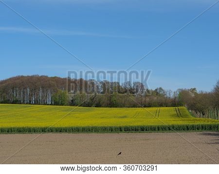 sunny day in the baumberge in germany
