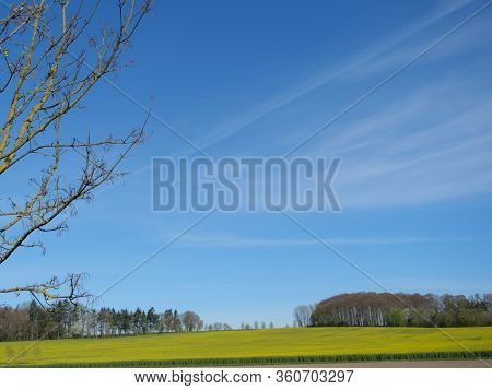 sunny day in the baumberge in germany