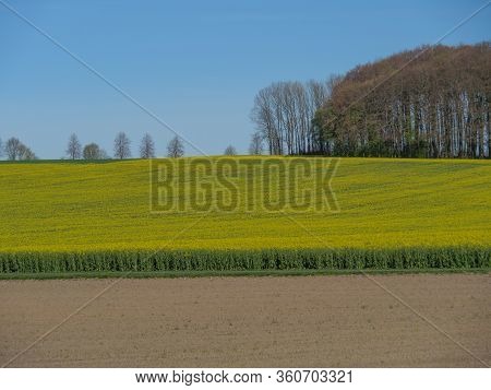 sunny day in the baumberge in germany