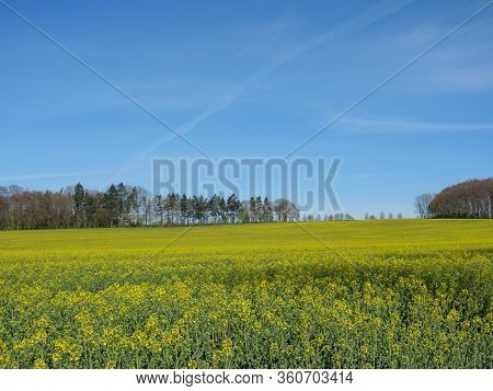 sunny day in the baumberge in germany