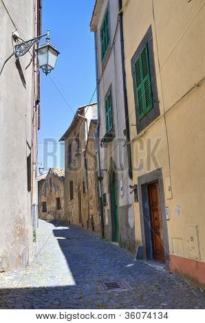 Gyde. Montefiascone. Lazio. Italien.