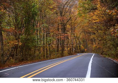 Road Sign Warns Of Curvy Roads Ahead.  Wet And Damp Autumn Foliage Lines Both Sides Of Highway Throu