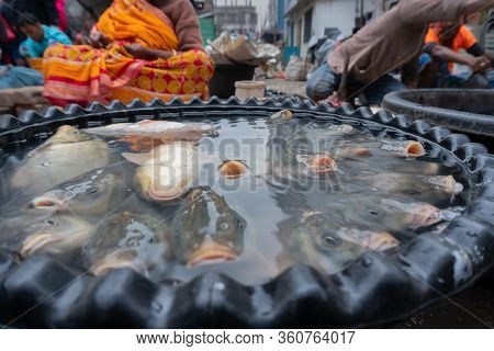 Kolkata, West Bengal, India - 16th December 2018 : Alive Fishes For Sale. Aged Woman Selling Them In