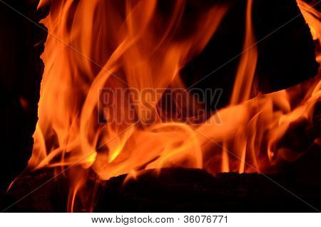 fuego