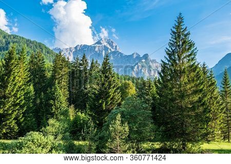 Summer Day In An Alpine Valley Of Friuli Venezia-giulia, Italy