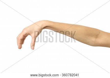 Hand Picking, Holding, Grabbing Or Reaching. Woman Hand With French Manicure Gesturing Isolated On W