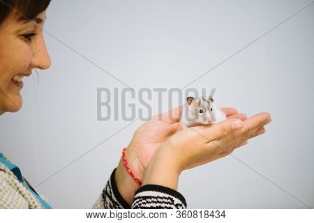 Woman Holds White Furry Little Mouse On White Background. Cute Young Mice In Hands Of Veterinarian. 