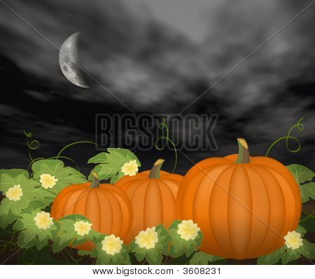 Lua sobre Pumpkin Patch