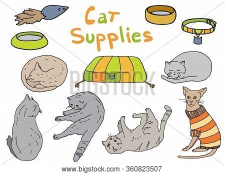 Outline Cat Supplies Set. Hand Drawn Colorful Vector Illustration. Pet Lounger, Bowl, Toy, Collar, S