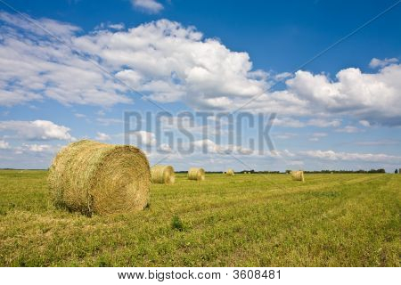 Hayrick