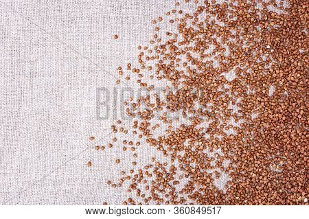 Raw Roasted Buckwheats  On Coarse Cloth Background With Copy Space. Russian Grechka On Sacking. Orga