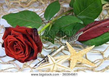 Rode rose en ganzenveer