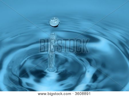 Gota