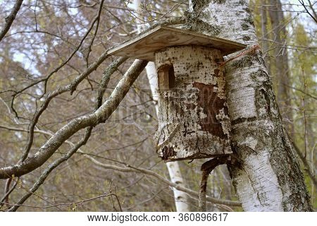 Southern Karelia, Finland, May, 10, 2014. Wooden Birdhouse For Migrating Birds Hangs On A Birch. Nes