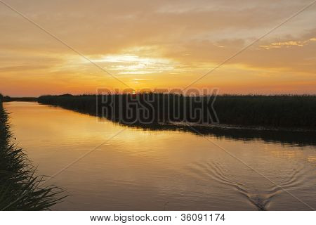 Morning on the River