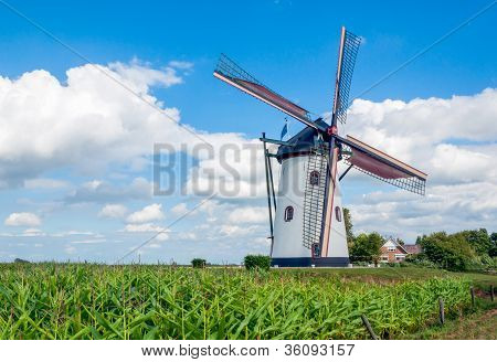 Flourmill สีขาวทำงานในชนบท