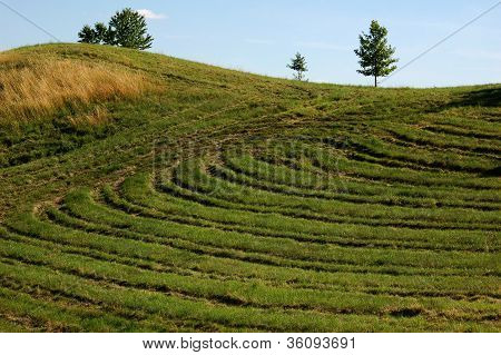 Wiese hinter dem Dorf