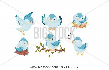 Cute Blue Bird Sitting In The Nest And Flying With Spread Wings Vector Set