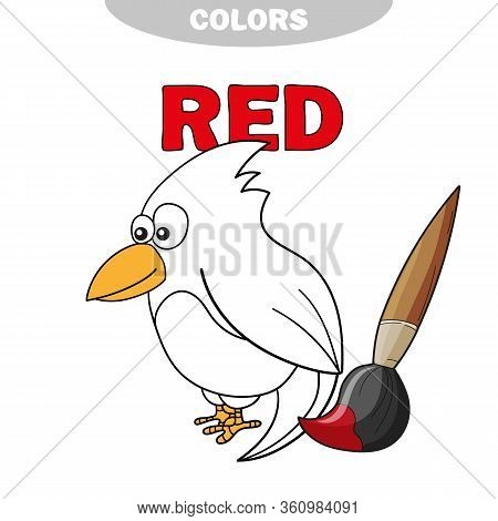 Coloring Book - Finny Bird. Learn Colors - Red