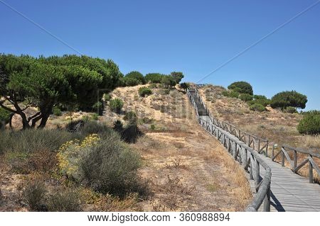 Matalascanas, Spain - July 10, 2011: Doana National Park In Andalusia