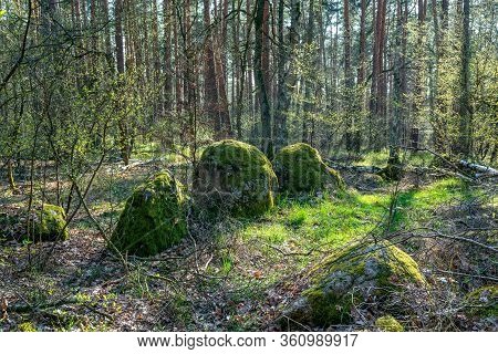 Prehistoric Megalith Stones Along The Famous 