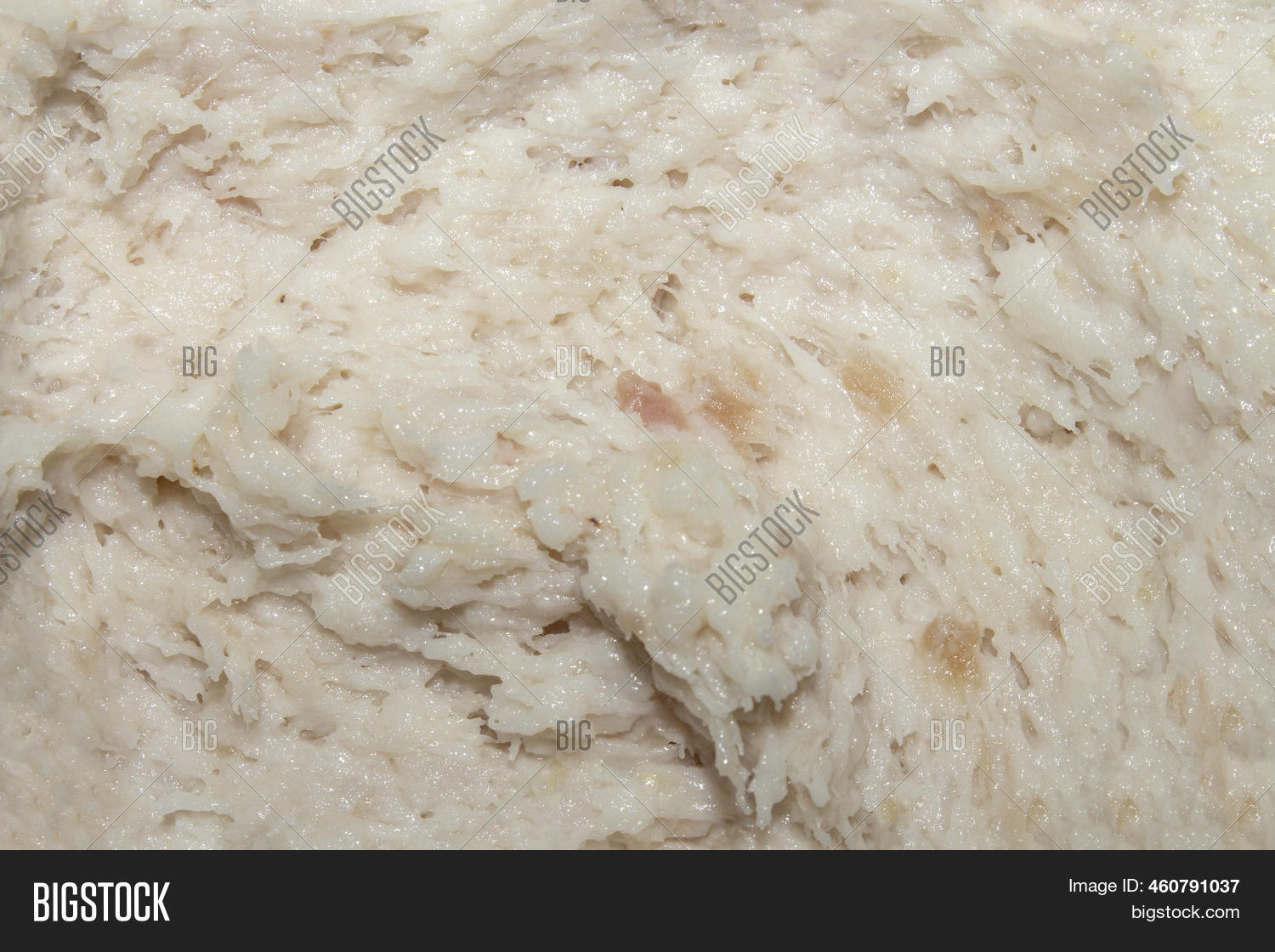 Lard Spreading On Image & Photo (Free Trial) Bigstock