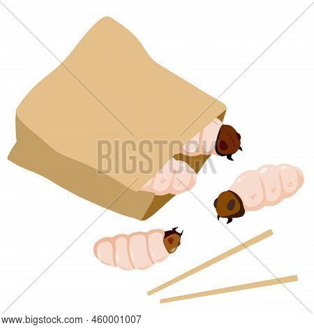 Edible Larva In Paper Bag And Packaging. Eating Caterpillar With Chopsticks. Asian Snack And Street 