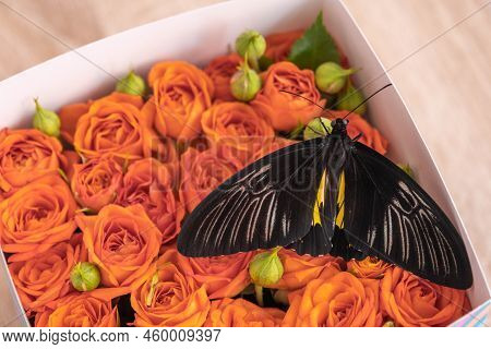 Lovely Tropical Butterflies In A Box Of Roses. Orange Roses And Butterflies. Unusual And Stylish Bou