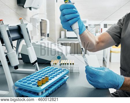 Scientist In Gloves And With Micropipette In His Hands At Medical Laboratory. Laboratory Technician 