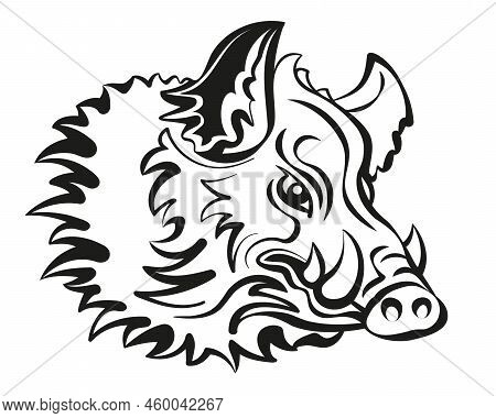 Boar, Wild Hog, Feral Pig With Shaggy Fur, Sharp Fangs, Dangerous, Menacing Look, Ready To Attack. I