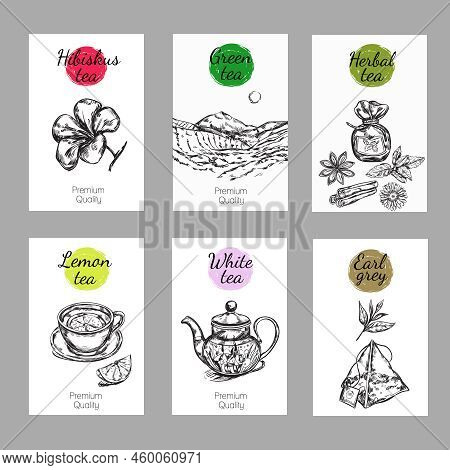 Tea Label Set With Hibiscus Green Herbal Lemon White And Earl Grey Tea Descriptions Vector Illustrat