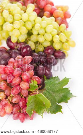 Red And White Grapes, Wine Grapes Summer