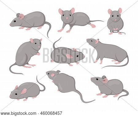 Gray Mouse. Small Animals. Rodents Actions. Cute Isolated Icons Set. Asian Zodiac Creature Design Dr