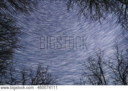 5k Trails Of Stars Above Tree Crowns Without Foliage. Night Rotate Sky Star Background. Star Lines M