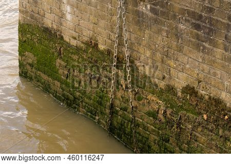 Detail Of A Brick-built Harbor Wall On The Thames River Waterfront In London With Green Algae Growth