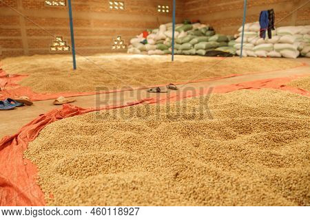 Stock Of Coffee In A Warehouse At Farm In Region Of Rwanda